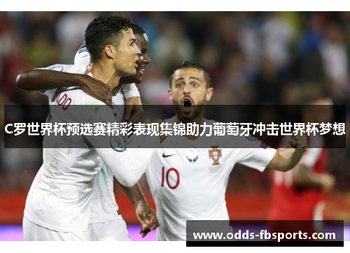 C罗世界杯预选赛精彩表现集锦助力葡萄牙冲击世界杯梦想
