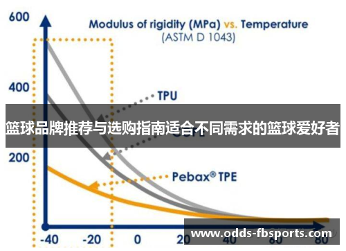 篮球品牌推荐与选购指南适合不同需求的篮球爱好者