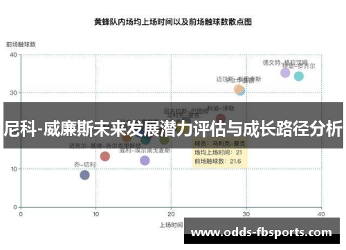 尼科-威廉斯未来发展潜力评估与成长路径分析