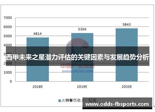 西甲未来之星潜力评估的关键因素与发展趋势分析