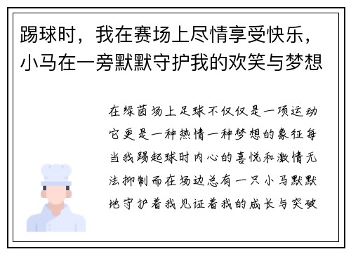 踢球时，我在赛场上尽情享受快乐，小马在一旁默默守护我的欢笑与梦想