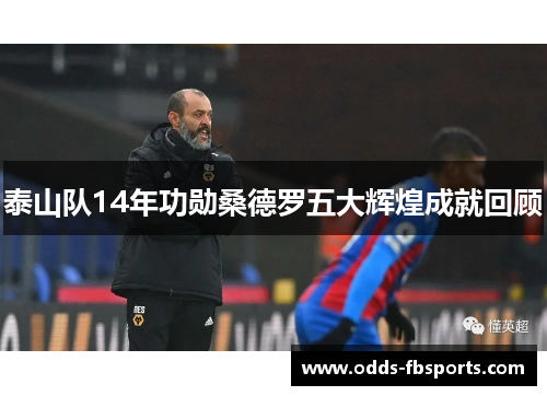 泰山队14年功勋桑德罗五大辉煌成就回顾