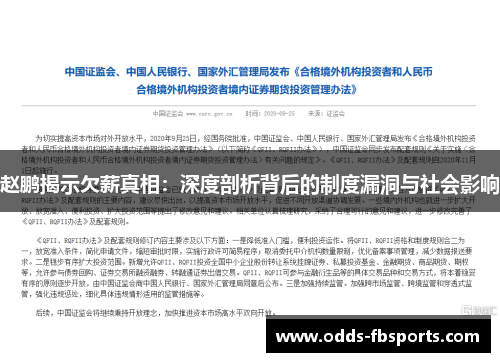 赵鹏揭示欠薪真相：深度剖析背后的制度漏洞与社会影响