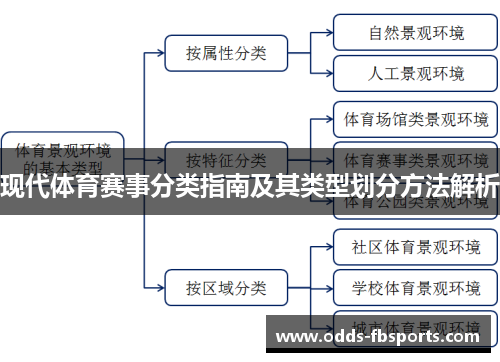 现代体育赛事分类指南及其类型划分方法解析
