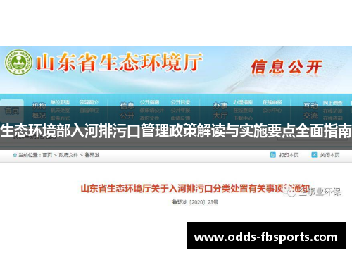 生态环境部入河排污口管理政策解读与实施要点全面指南