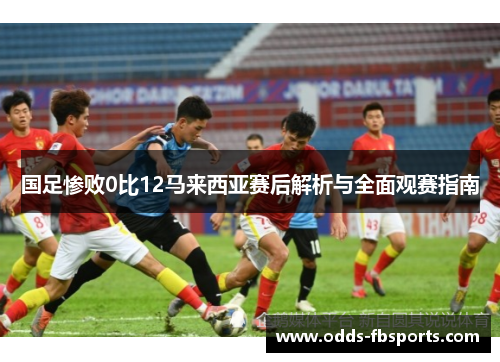 国足惨败0比12马来西亚赛后解析与全面观赛指南