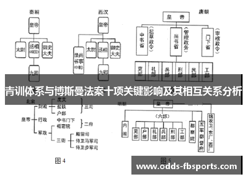 青训体系与博斯曼法案十项关键影响及其相互关系分析